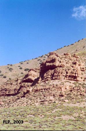 4-37