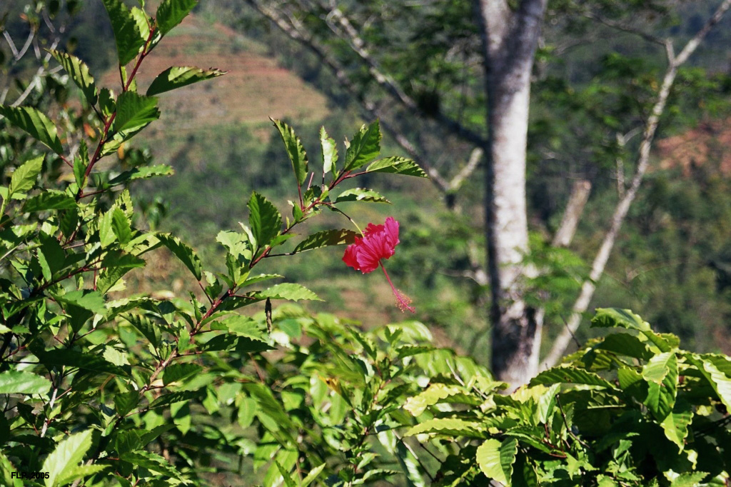 01-26