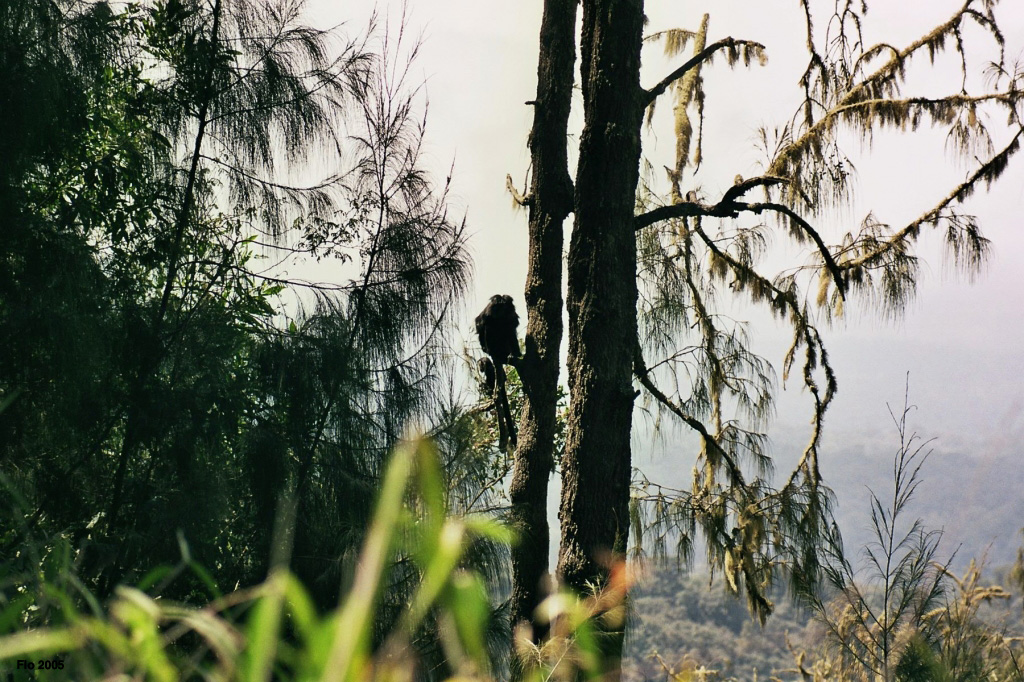 04-22
