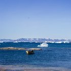 164-IMG 4197
