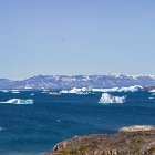 170-IMG 4203