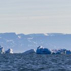 189-IMG 4225