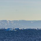 192-IMG 4229