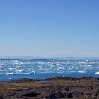 201-IMG 4241