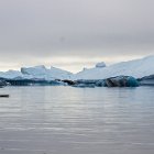 310-IMG 4361