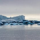 311-IMG 4362