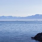 387-IMG 4453