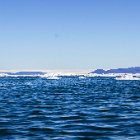 403-IMG 4470