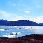 457-DSC01985