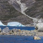 503-IMG 4579