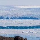 544-IMG 4624
