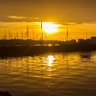 774-IMG 4913