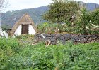 1-Machico-PortoDaCruz